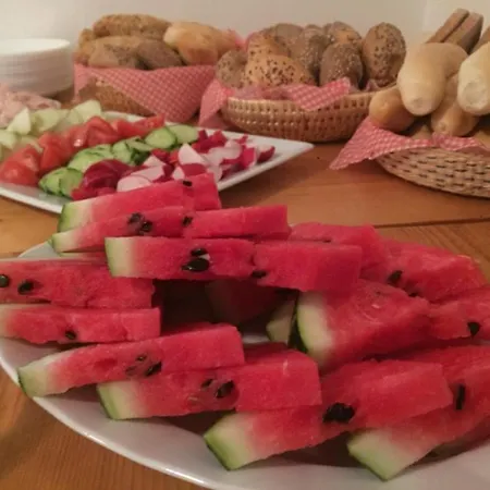Pensionat Otevrena Naruc Letovice